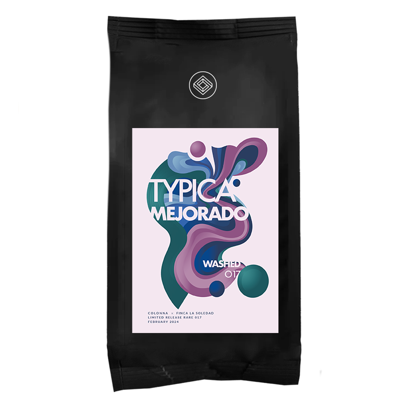 017 - Typica Mejorado Washed