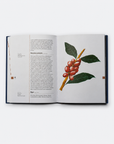 The Coffee Dictionary