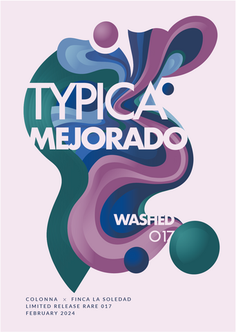 A2 Poster - Typica Mejorado Washed 017